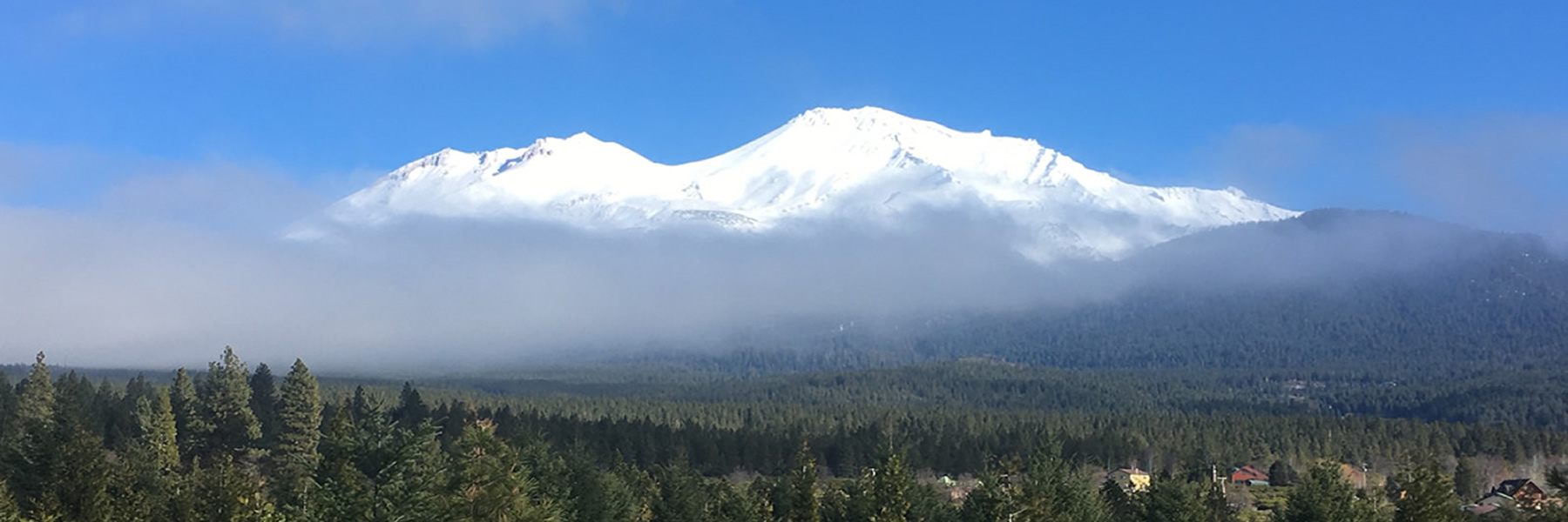 Mount Shasta