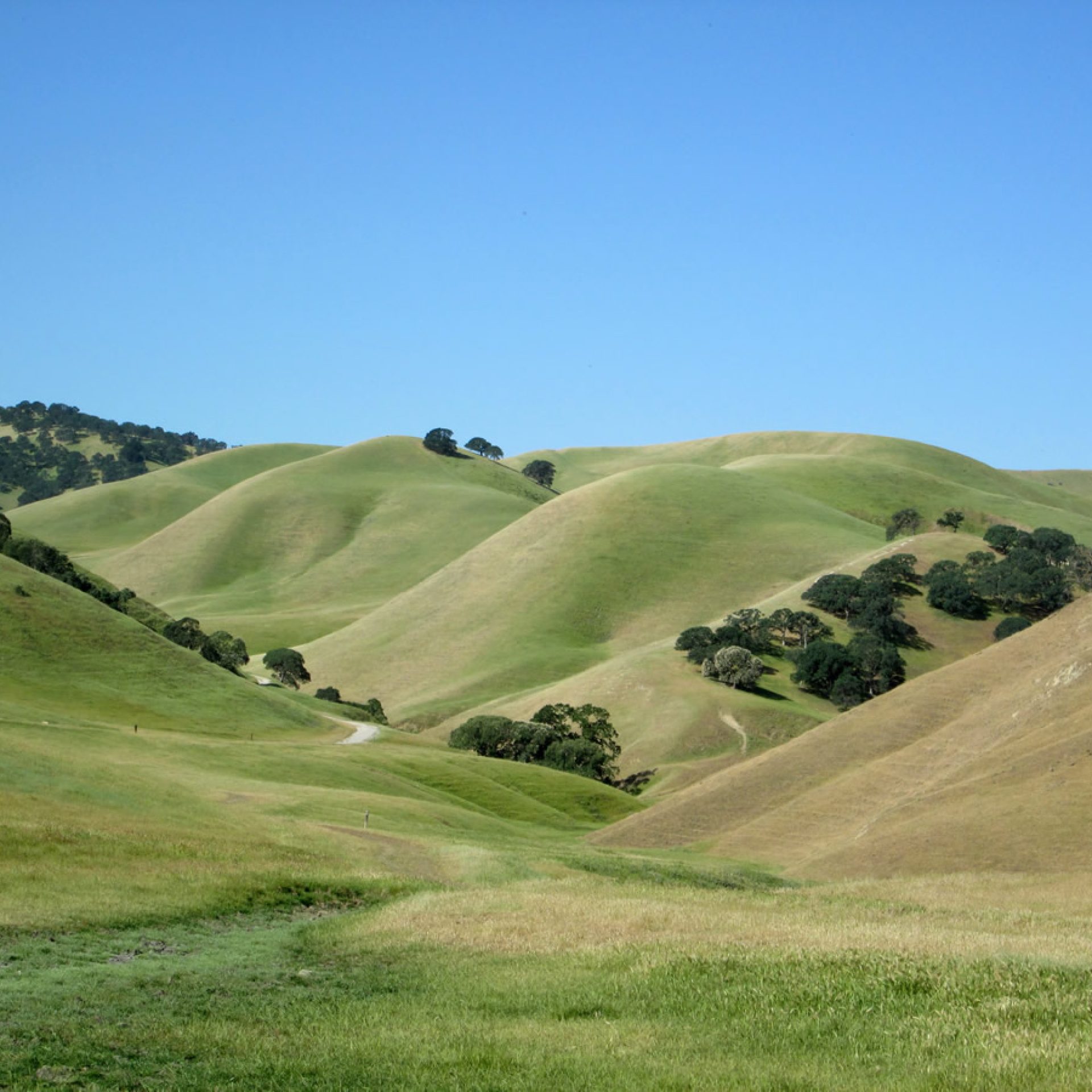 Contra Loma