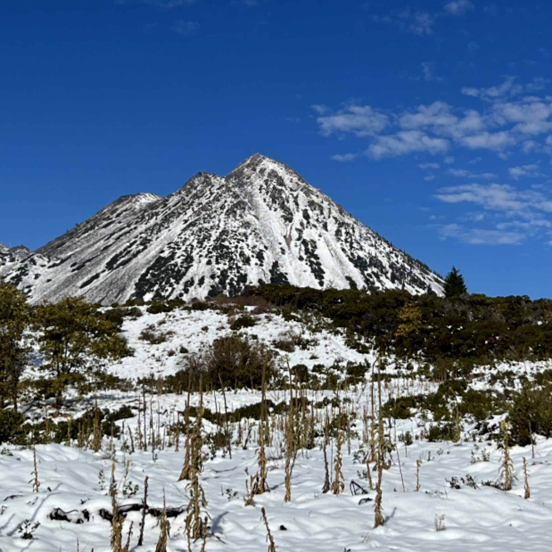 Black Butte in Winter