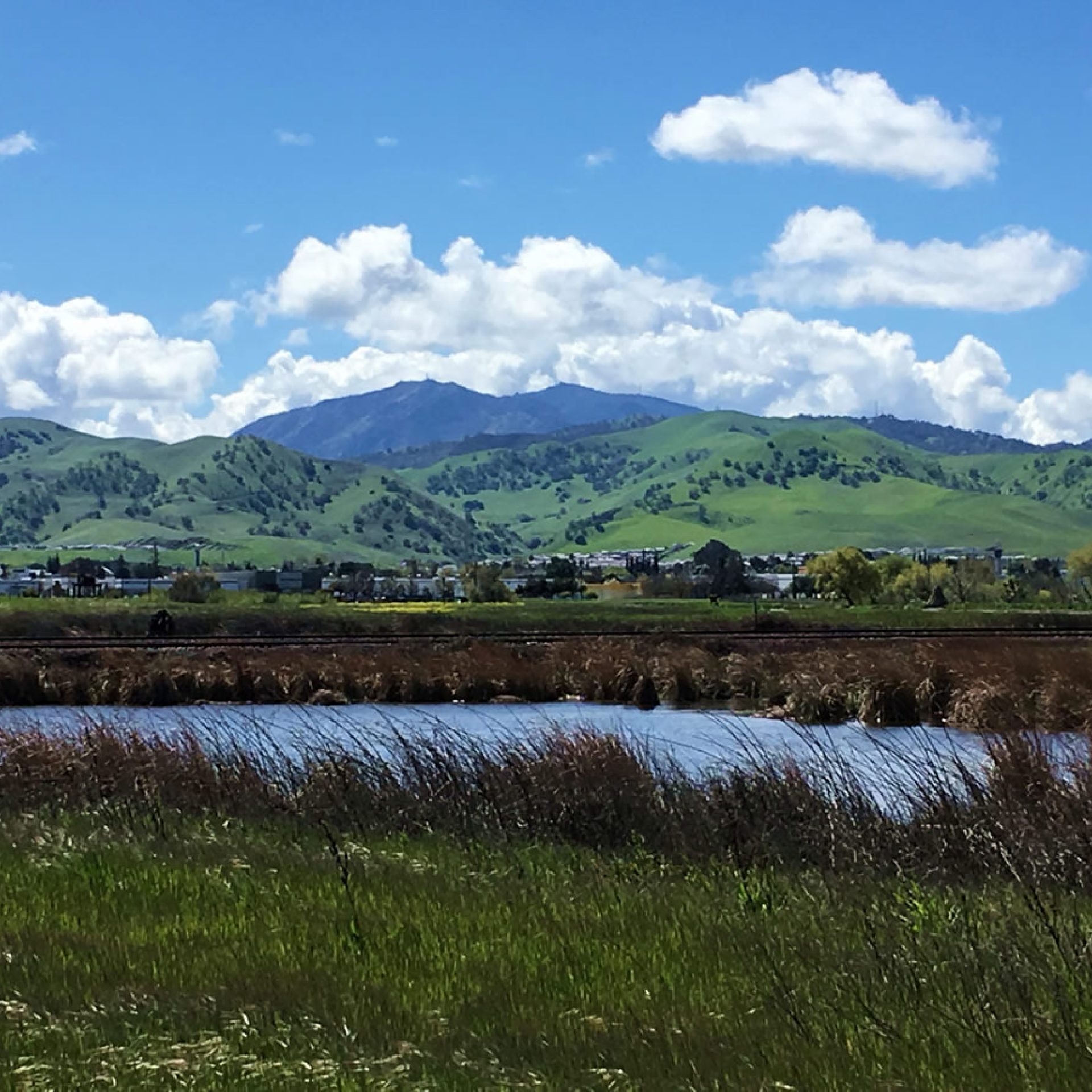 Wetlands Preserve Atnioch