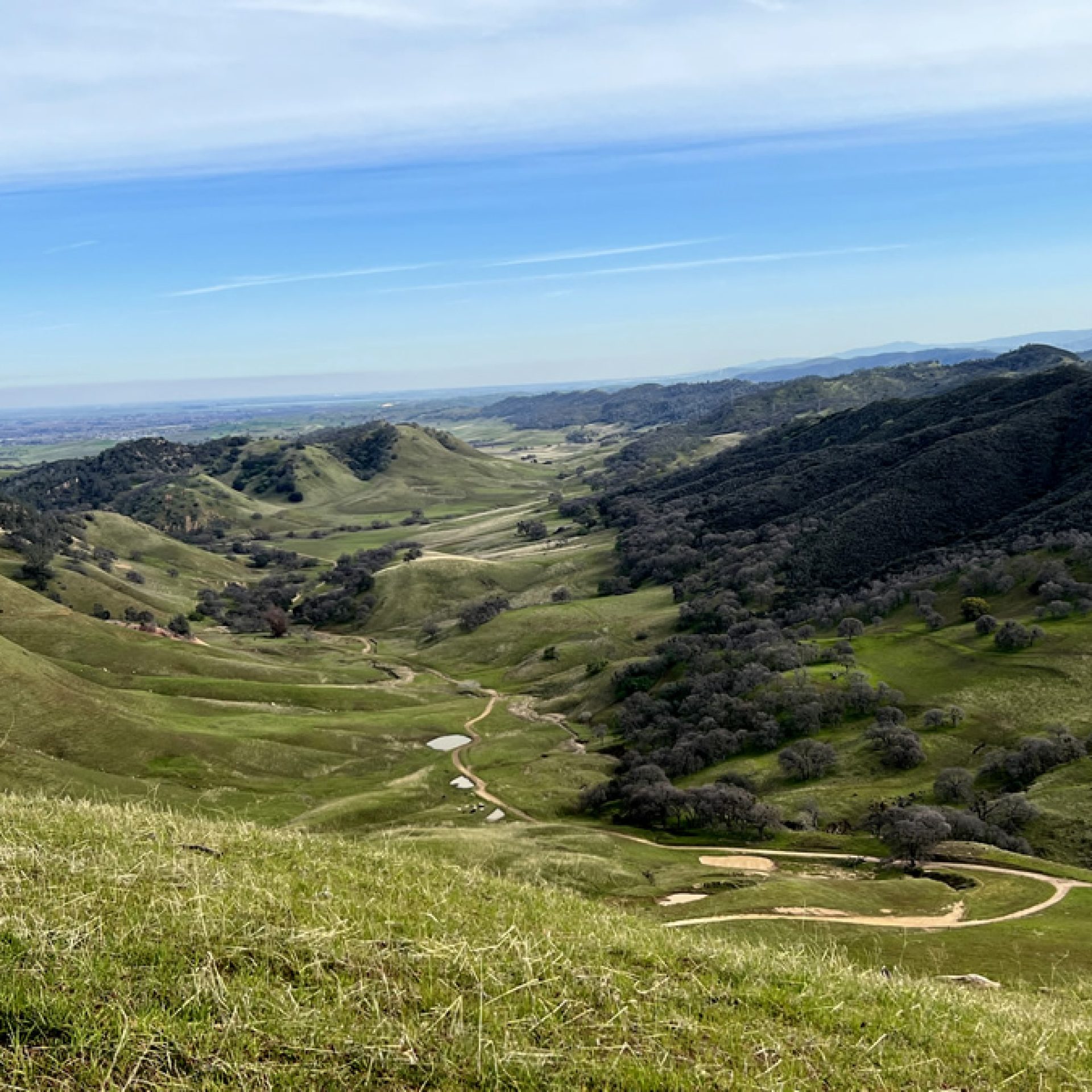 Black Diamond towards Brentwood