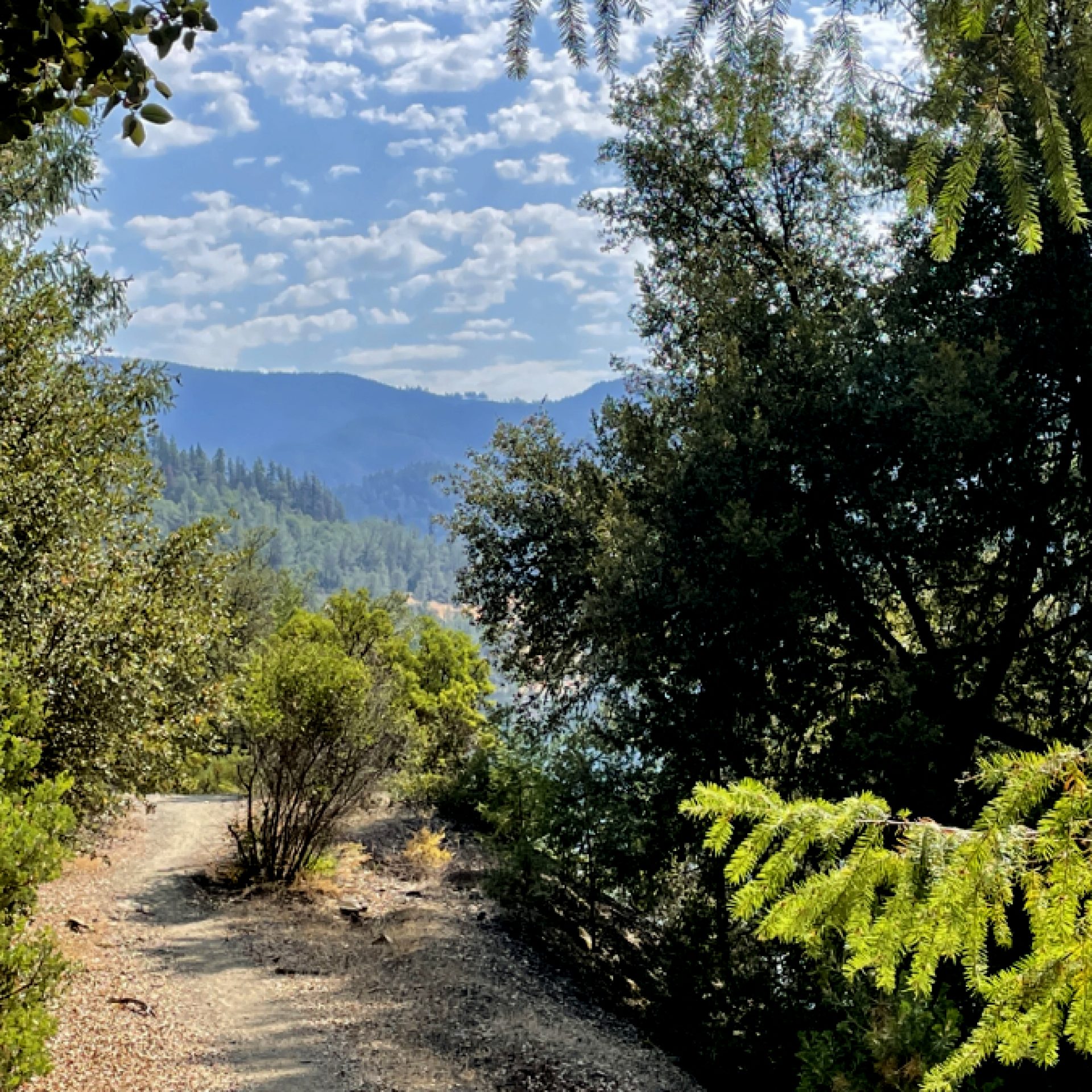 Lewiston Lake Trail