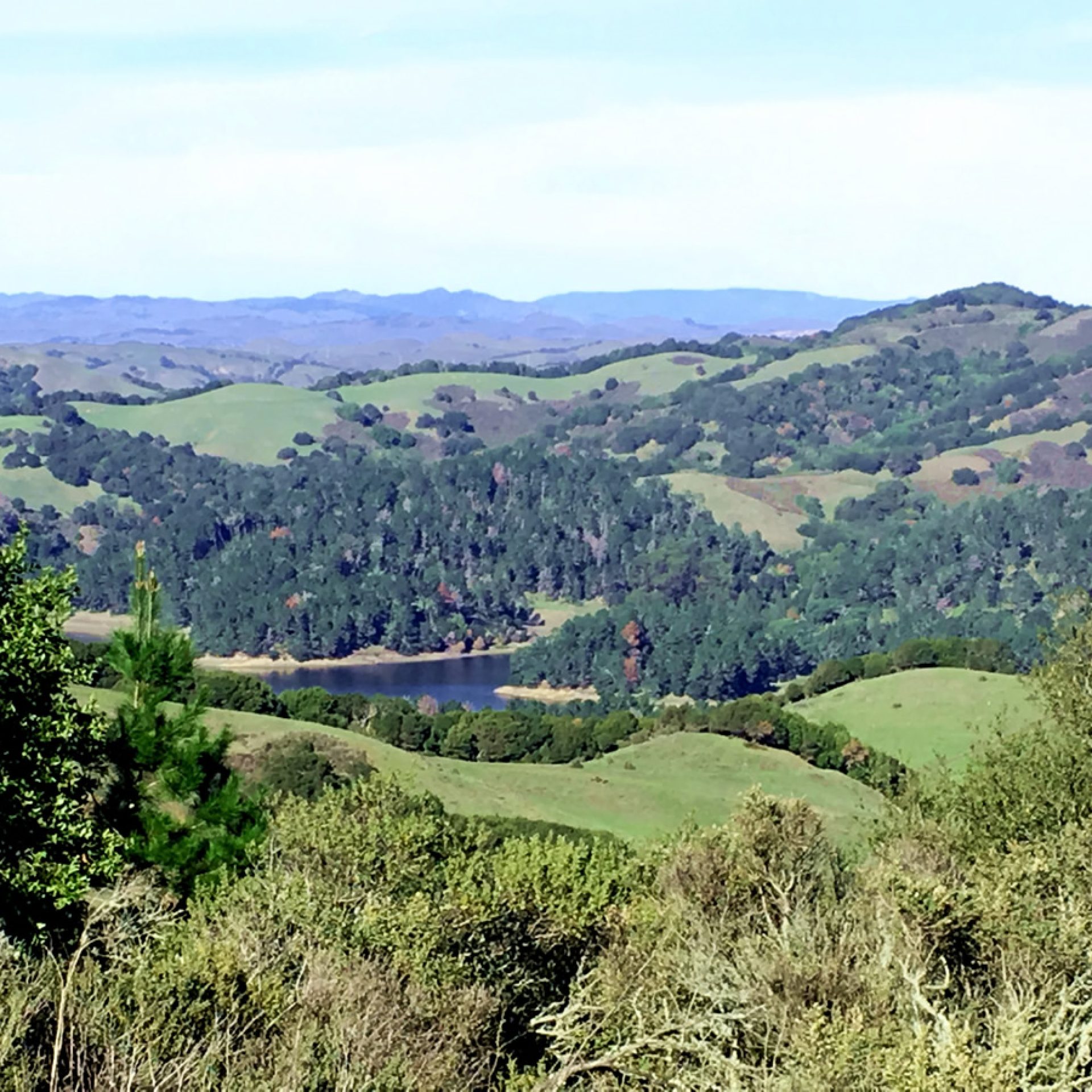 From Mount Diablo