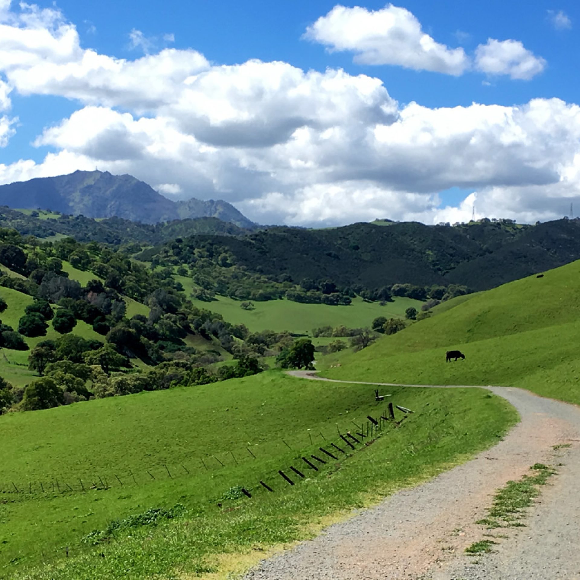 Stewartville Trail