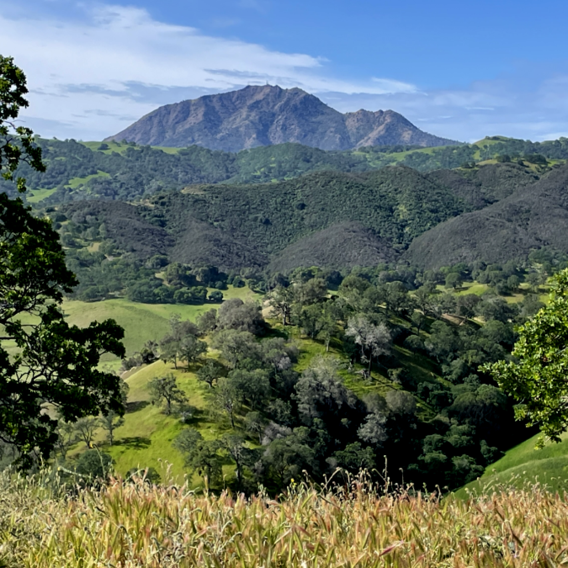 Mount Diablo