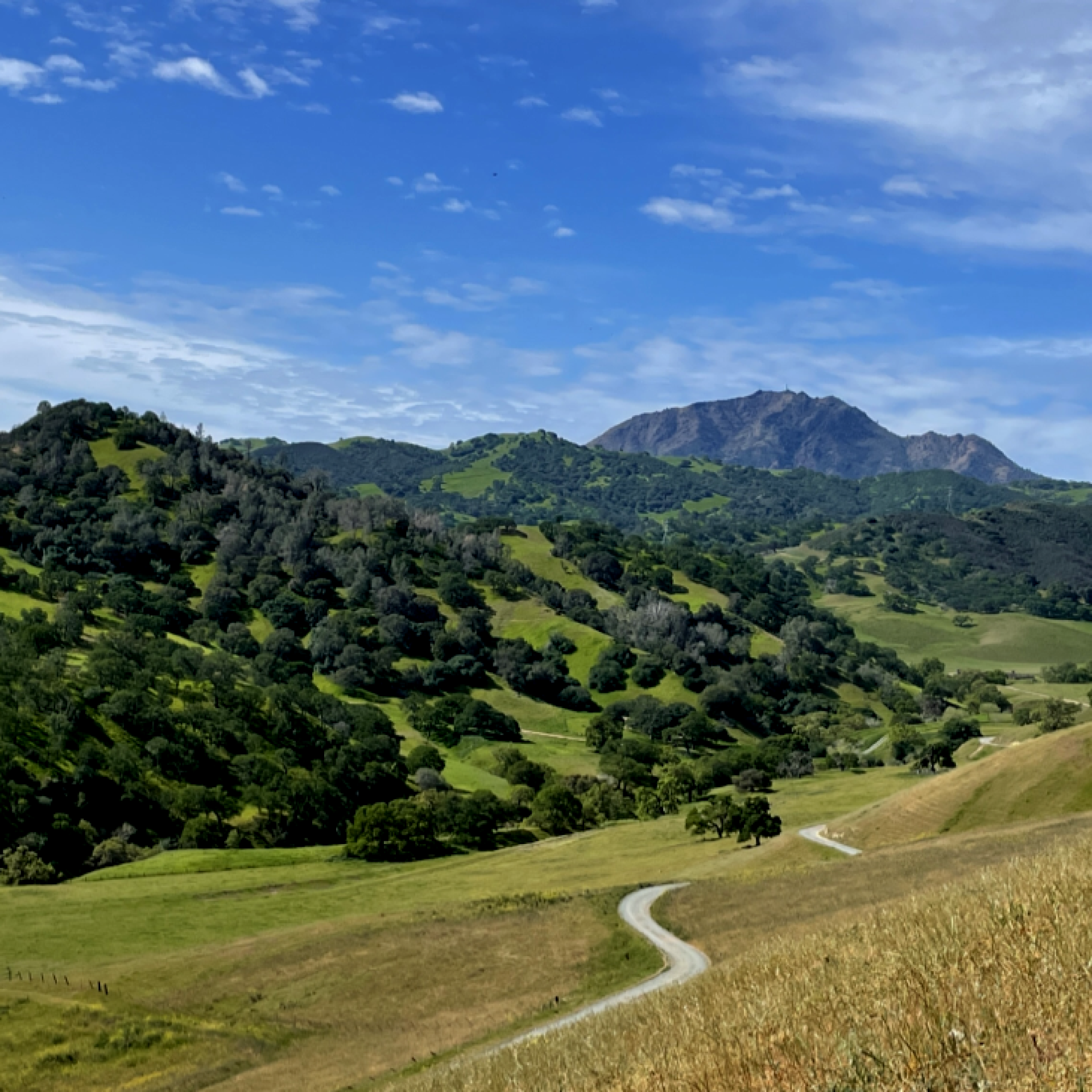 Stewartville Trail