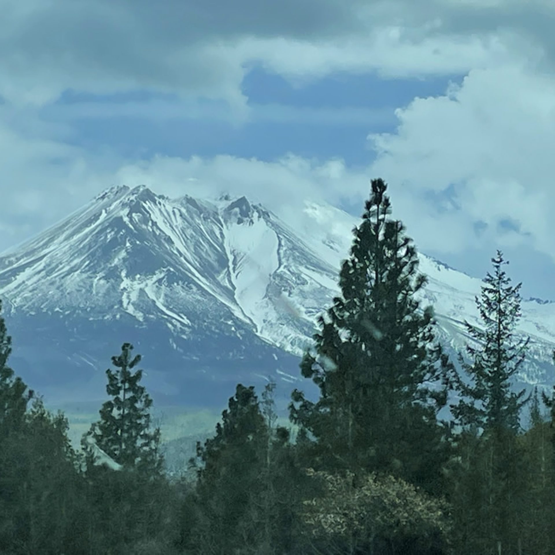 Mount Shasta