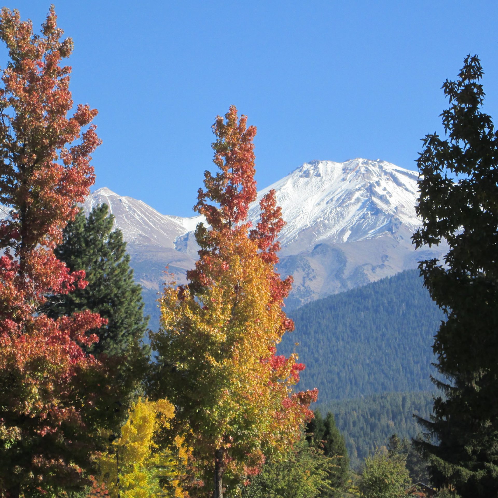 Mount Shasta in Fall